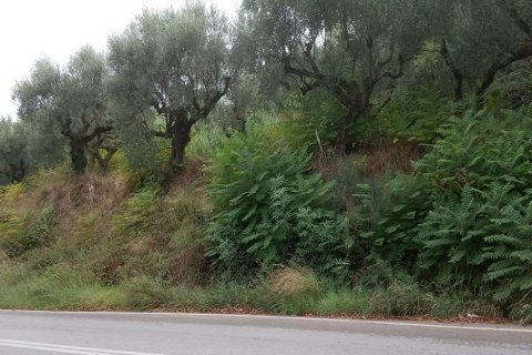 Land en Zakynthos, Greece No. 24596 10