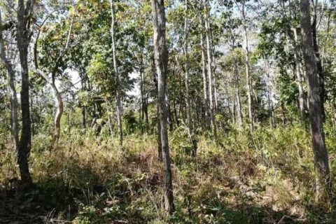 Land en Chiang Mai, Thailand No. 98052 6