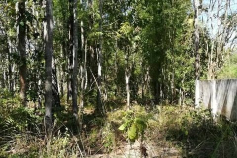 Land en Chiang Mai, Thailand No. 98052 3