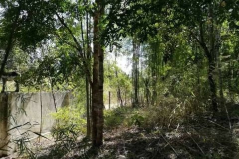 Land en Chiang Mai, Thailand No. 98052 4