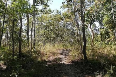 Land en Chiang Mai, Thailand No. 98052 5