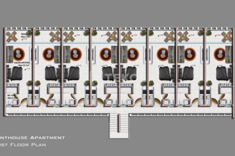 2 bedrooms Penthouse in Bao Thuan, Vietnam No. 12862 12