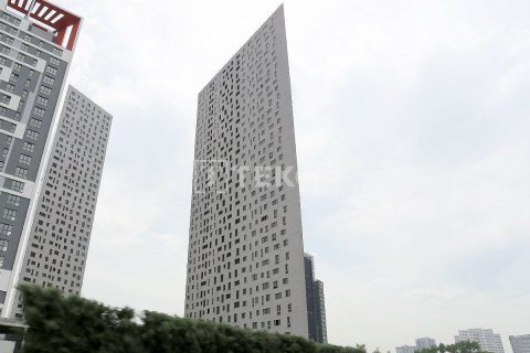 Studio Apartment in Chau Doc, Vietnam No. 11663 2