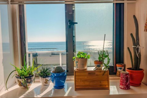 4 rooms Appartement à Tri Phuong, Vietnam No. 21271 14