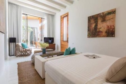 6 bedrooms Villa in Tha Chang, Thailand No. 96023 15