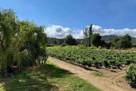 Вилла с 6 спальнями в Коголен, Франция №79625 17