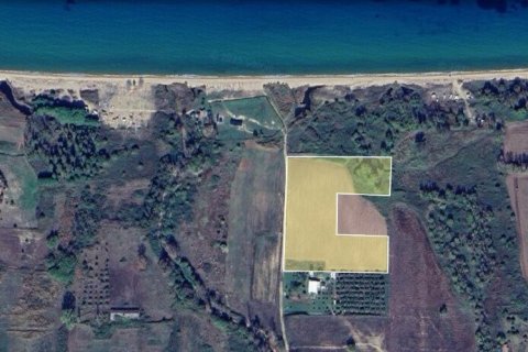 20000m² Land in Chalkidiki, Greece No. 108453 3