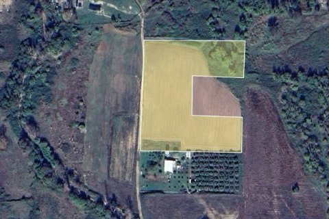 20000m² Land in Chalkidiki, Greece No. 108453 2