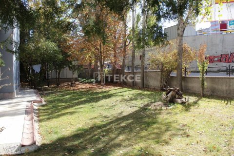 5 bedrooms Apartment in Quang Ngai, Vietnam No. 11768 6