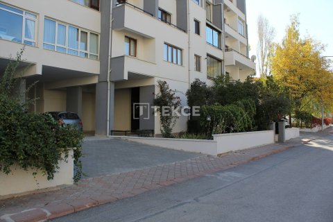 5 bedrooms Apartment in Quang Ngai, Vietnam No. 11768 7