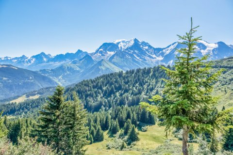 17 rooms House in Saint-Gervais-les-Bains, France No. 99496 1