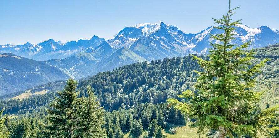 17 rooms House in Saint-Gervais-les-Bains, France No. 99496