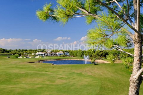 3 bedrooms Villa in Giao Hai, Vietnam No. 88400 7