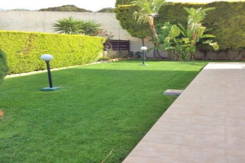 3 chambres Villa à Limassol, Cyprus No. 105273 8