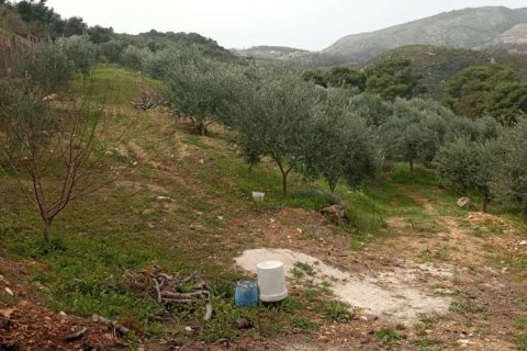 Land in Zakynthos, Greece No. 24576 12