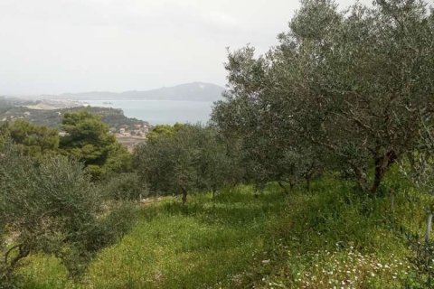 Land in Zakynthos, Greece No. 24576 6