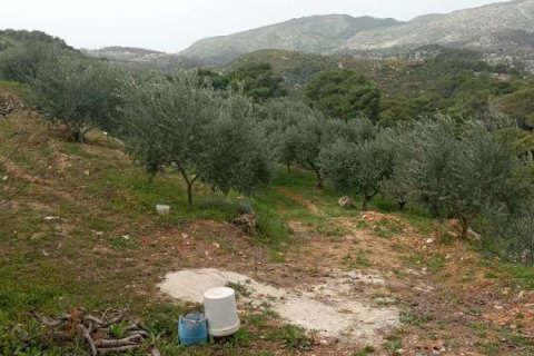 Land in Zakynthos, Greece No. 24576 11
