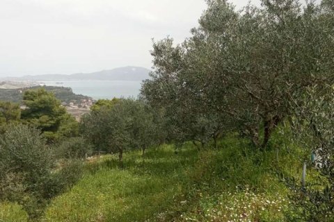 Land in Zakynthos, Greece No. 24576 5