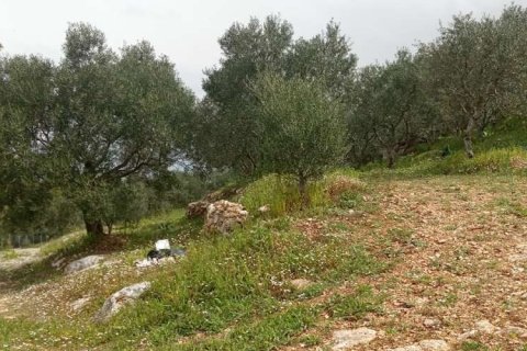 Land in Zakynthos, Greece No. 24576 19
