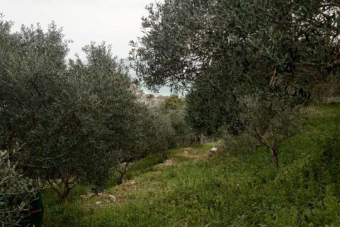 Land in Zakynthos, Greece No. 24576 20