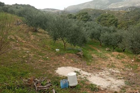 Land in Zakynthos, Greece No. 24576 16