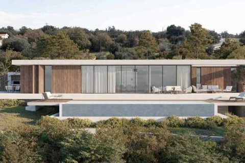 3 bedrooms House in Pegeia, Cyprus No. 30723 13