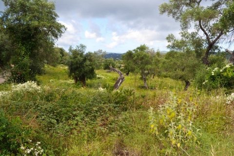 Земельный участок 5500м² в Керкира, Греция №59153 7