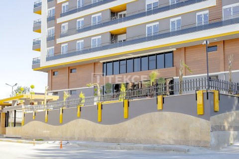 3 chambres Appartement à Phu Tan, Vietnam No. 27939 14