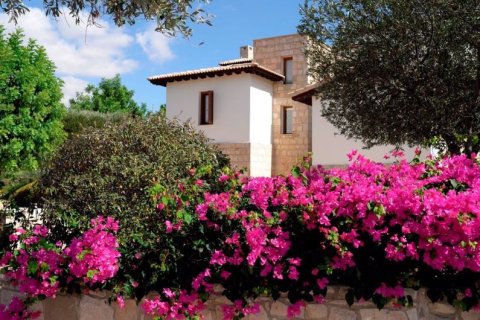 5 bedrooms Villa in Paphos, Cyprus No. 78173 4