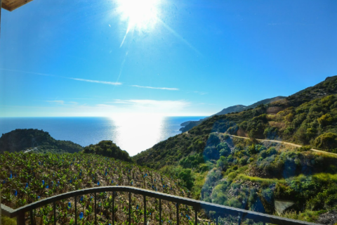 4 rooms Villa in Lam Cot, Vietnam No. 20873 2