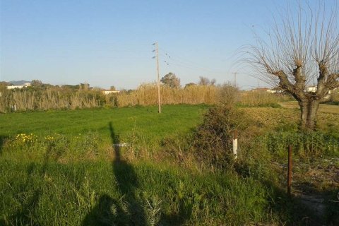 Земельный участок в Закинтос, Греция №69520 3