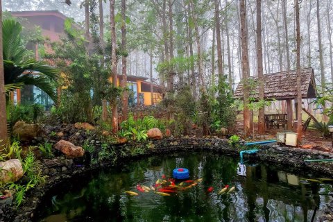 4 bedrooms House in Chiang Mai, Thailand No. 98188 5