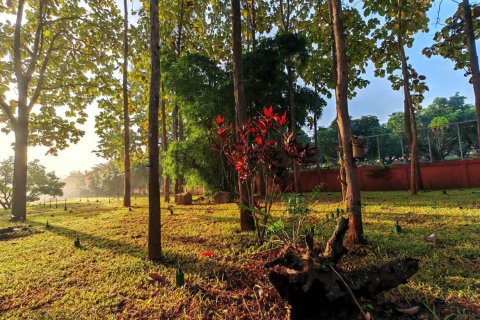 4 bedrooms House in Chiang Mai, Thailand No. 98188 6