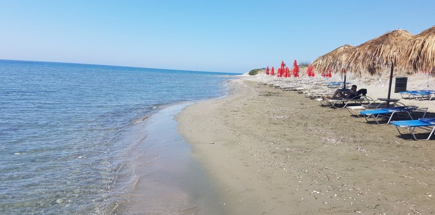 Земельный участок 13894м² в Мазотос, Кипр №28045