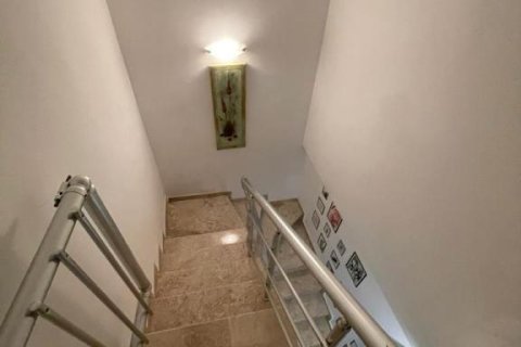 5 rooms Appartement à Phong Thanh Tay A, Vietnam No. 21419 3