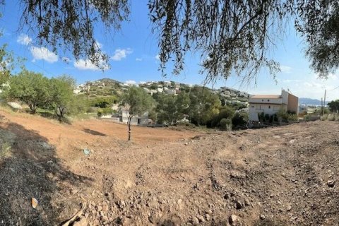 Земельный участок 1300м² в Anavyssos, Греция №108590 6