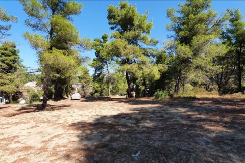 5200m² Land in Chalkidiki, Greece No. 58580 5