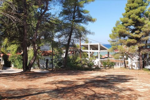 5200m² Land in Chalkidiki, Greece No. 58580 7