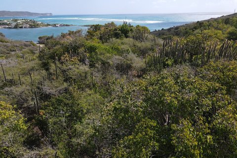 4694m² Land in Piccadilly, Antigua and Barbuda No. 64982 12