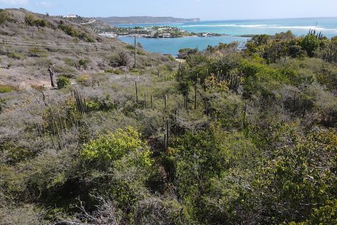 4694m² Land in Piccadilly, Antigua and Barbuda No. 64982 14