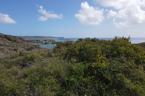 4694m² Land in Piccadilly, Antigua and Barbuda No. 64982 11