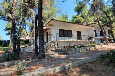 1 bedroom Villa in Chalkidiki, Greece No. 52006 7
