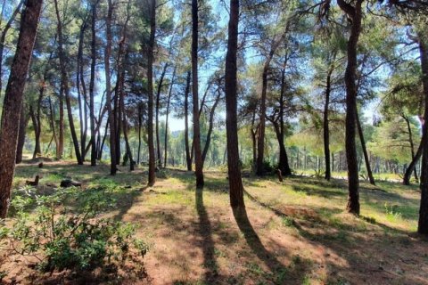 1 bedroom Villa in Chalkidiki, Greece No. 52006 6