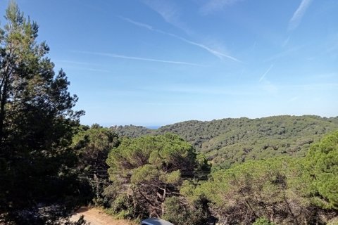Land in Lloret de Mar, Spain No. 99045