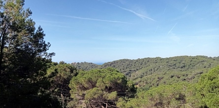 Land in Lloret de Mar, Spain No. 99045