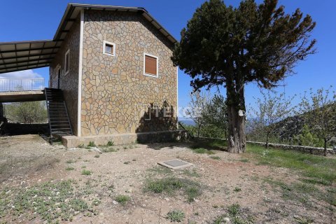 4 bedrooms Villa in Phu Tan, Vietnam No. 11056 3