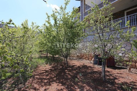 4 bedrooms Villa in Phu Tan, Vietnam No. 11056 11