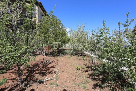 4 bedrooms Villa in Phu Tan, Vietnam No. 11056 10