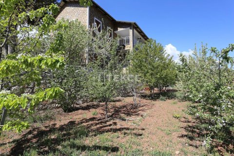 4 bedrooms Villa in Phu Tan, Vietnam No. 11056 6