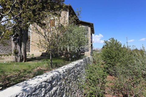 4 bedrooms Villa in Phu Tan, Vietnam No. 11056 4